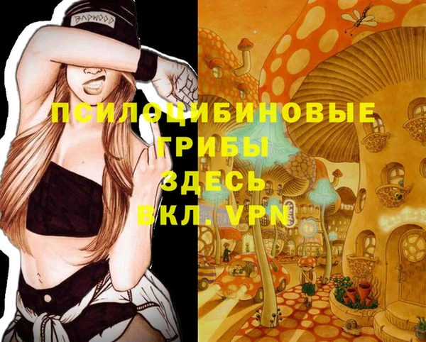 мяу мяу мука Нея