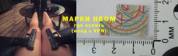 молекула духа Надым